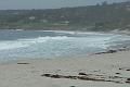 Carmel 10-30-08 240